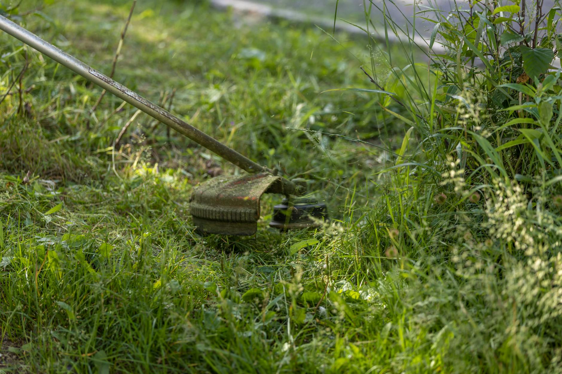 Yard Restoration